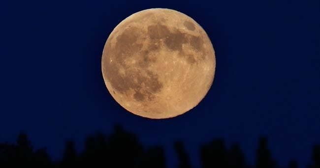 Key West Ghost & Mysteries Tour - Photo 1 of 4